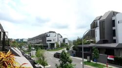 Nim Collection (D28), Detached #454180101